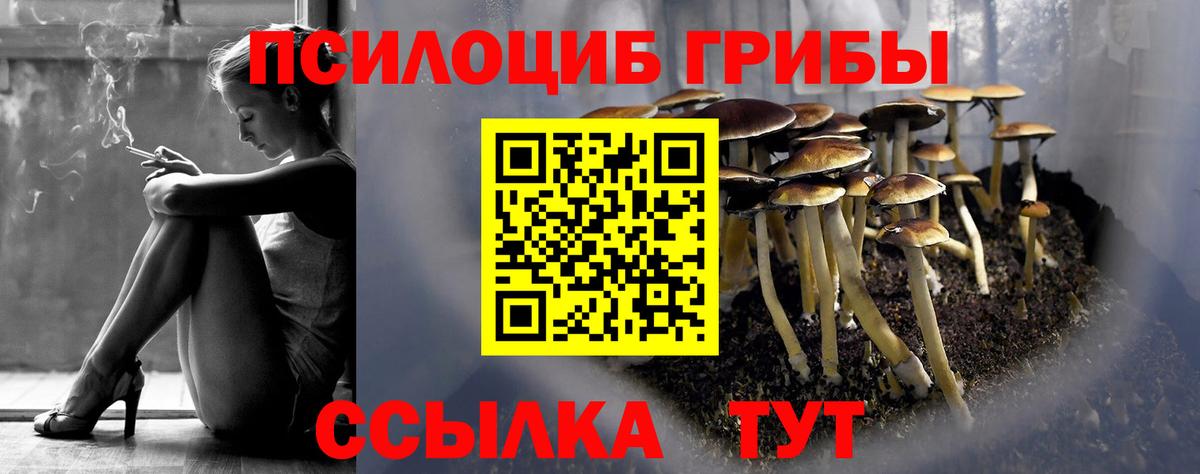 Кисловодск  Псилоцибиновые грибы Magic Shrooms  Псилоцибиновые грибы прущие грибы  Вход с VPN 